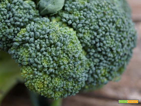 Fior di broccoli