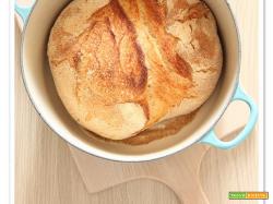 No knead bread, il pane senza impasto (finalmente!)