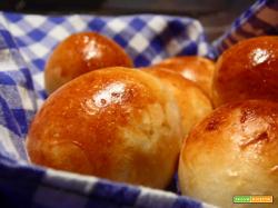 Panini al latte....e buon anno con morbidezza!
