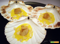 Capesante alla piastra con Salsa allo Zafferano