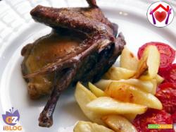 Ricetta veloce per cucinare il piccione