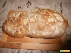 Pane a Lievitazione Naturale