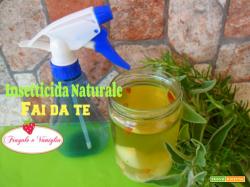 Insetticida Naturale Fai da Te