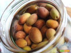Olive sott'olio in conserva