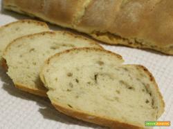 Pan ciabatta con germe di grano, lievito madre e semi di girasole