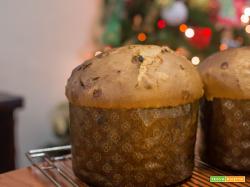 Panettone fatto in casa