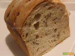 Pane in cassetta con semi di girasole e lievito madre
