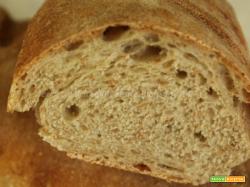 Baguette di pane con crusca e lievito madre