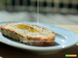 Una giornata al frantoio... e un pane profumato con l'olio novello