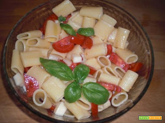 Paccheri freddi con pomodoro e asiago