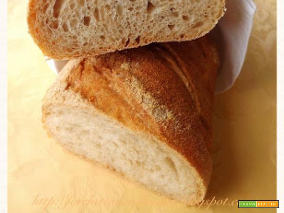 Pane con pasta di riporto