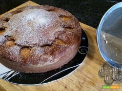 torta al cioccolato e albicocca