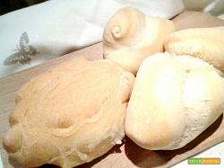 Pane Casereccio