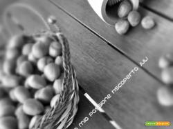 Crema alle nocciole
