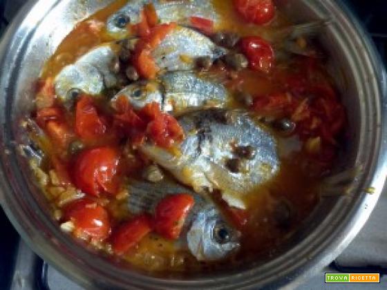 Pesce sarago chiappara pomodorini cipolla aglio