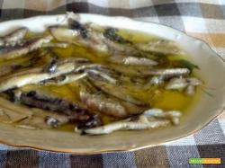 Sarde sott'olio ricetta, aggiughe