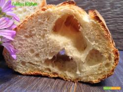 Pagnotte esplosive con pasta madre