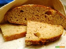 No Knead bread con farina macinata a pietra