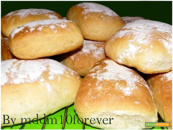 CIABATTINE
