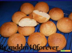 PANINI ALL'OLIO