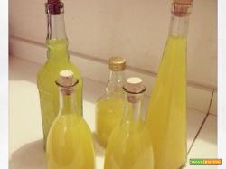 Limoncello