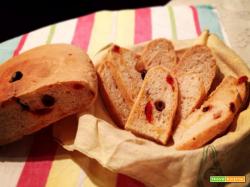 Pane con olive di leccino e pomodorini confit