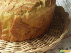 PIZZA DI PASQUA AL FORMAGGIO MARCHIGIANA