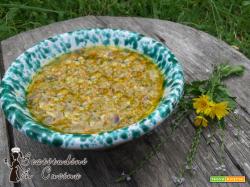 Pesto di fiori di zucca