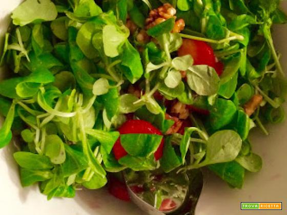 INSALATA PRIMAVERA CON LE FRAGOLE