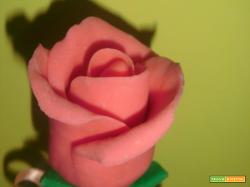 Una rosa di fudge