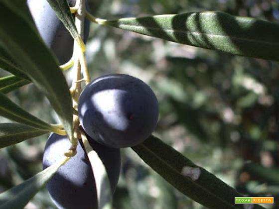 TROFIE AL PATE' DI OLIVE