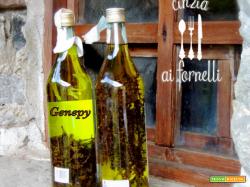 Genepy (liquore di artemisia glacialis)