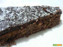 Torta al cioccolato ricoperta-Noi due in cucina