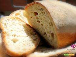 Pane cafone