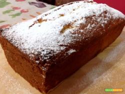 Plumcake morbidissimo yogurt e cioccolato