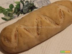 Pan ciabatta con lievito madre