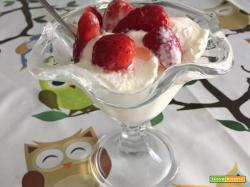 Gelato allo yogurt: ricetta con utilizzo di gelatiera