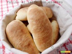 Panini al latte con esubero di pasta madre