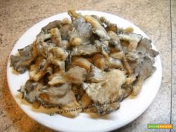 FUNGHI PLEUROTUS FRITTI