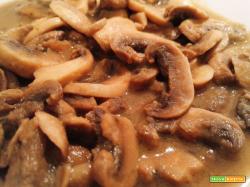 Funghi champignon in agro