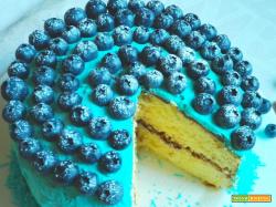 Torta nuvola ai mirtilli senza glutine