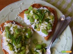Bruschette con ricotta, fave e pecorino
