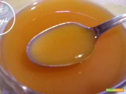 liquore albicocche