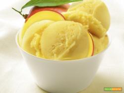 Gelato al mango: nutrimento e sapore unico