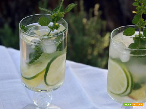Acqua aromatizzata lime e zenzero: il drink tonico, digestivo e stimolante