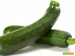 Vellutata di zucchine