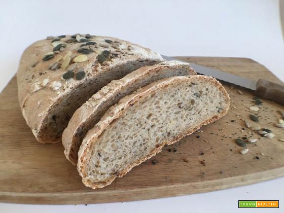 Pane integrale con semi misti a lievitazione naturale