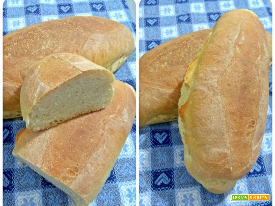 Pane alla farina di grano duro, soia e orzo
