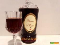 Liquore allo cherry fatto con vino rosso