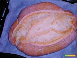Pane Comune Bianco